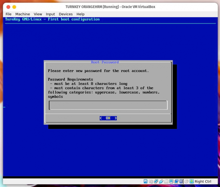 Setting a password for the virtual machine root account.