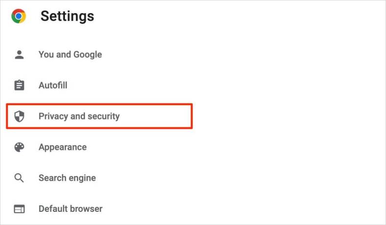 Google Chrome Privacy and Security