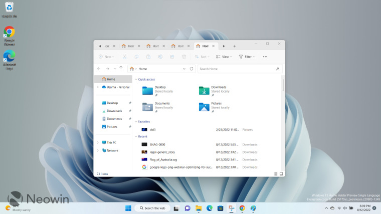Tabbed File Explorer open on Windows 11 desktop