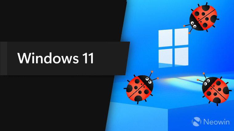 A Windows 11 logo as a window with some ladybugs crawling towards it
