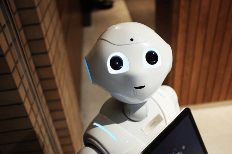 Image of humanoid robot looking at camera.