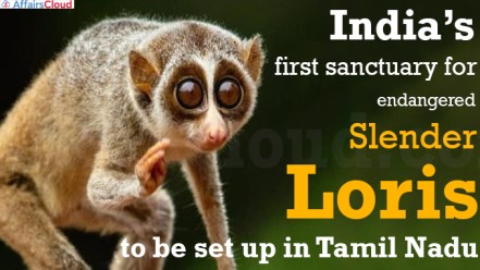 India’s first sanctuary for endangered Slender Loris
