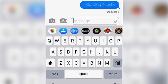 This is how Invisible Ink appears on iMessage.
