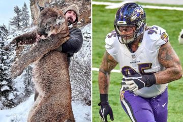 Ex-NFL star Wolfe slammed for killing huge mountain lion with bow and arrow