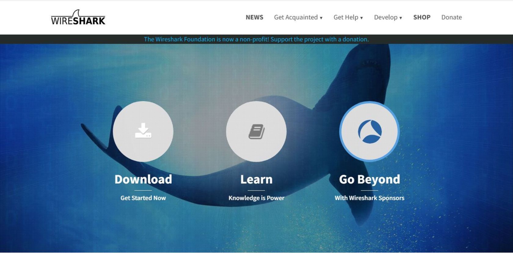 Screenshot of Wireshark's webpage 