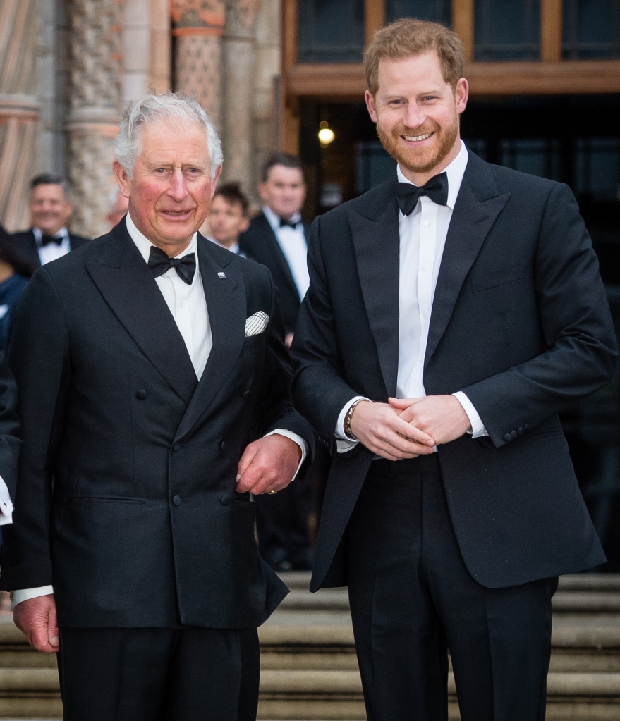 Prince Harry and King Charles III. 