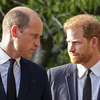 Prince William got a 'very large sum' in a Murdoch settlement in 2020