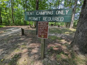 Campsite Sign at Blackbird State Forest