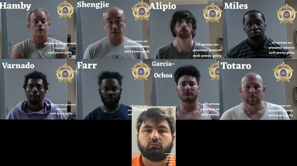 9 LPSO arrests