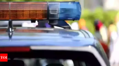 Gujarat govt transfers 75 IPS and 30 SPS officers, 10 senior IPS put on waiting