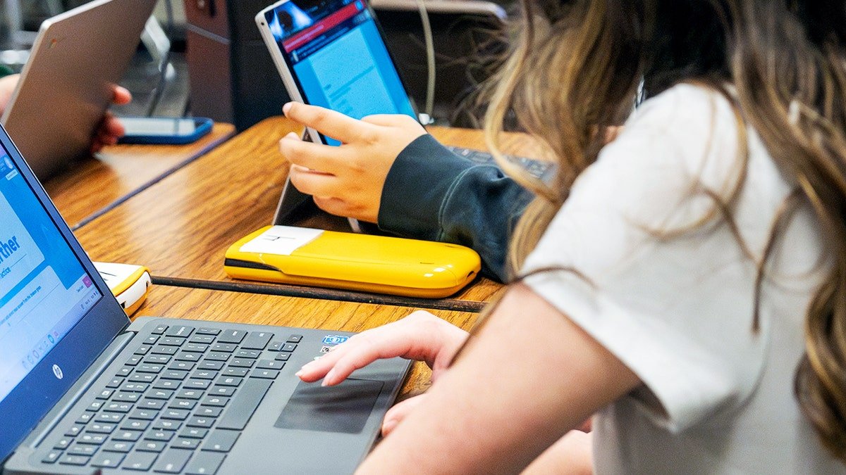 Students studying on the computer.