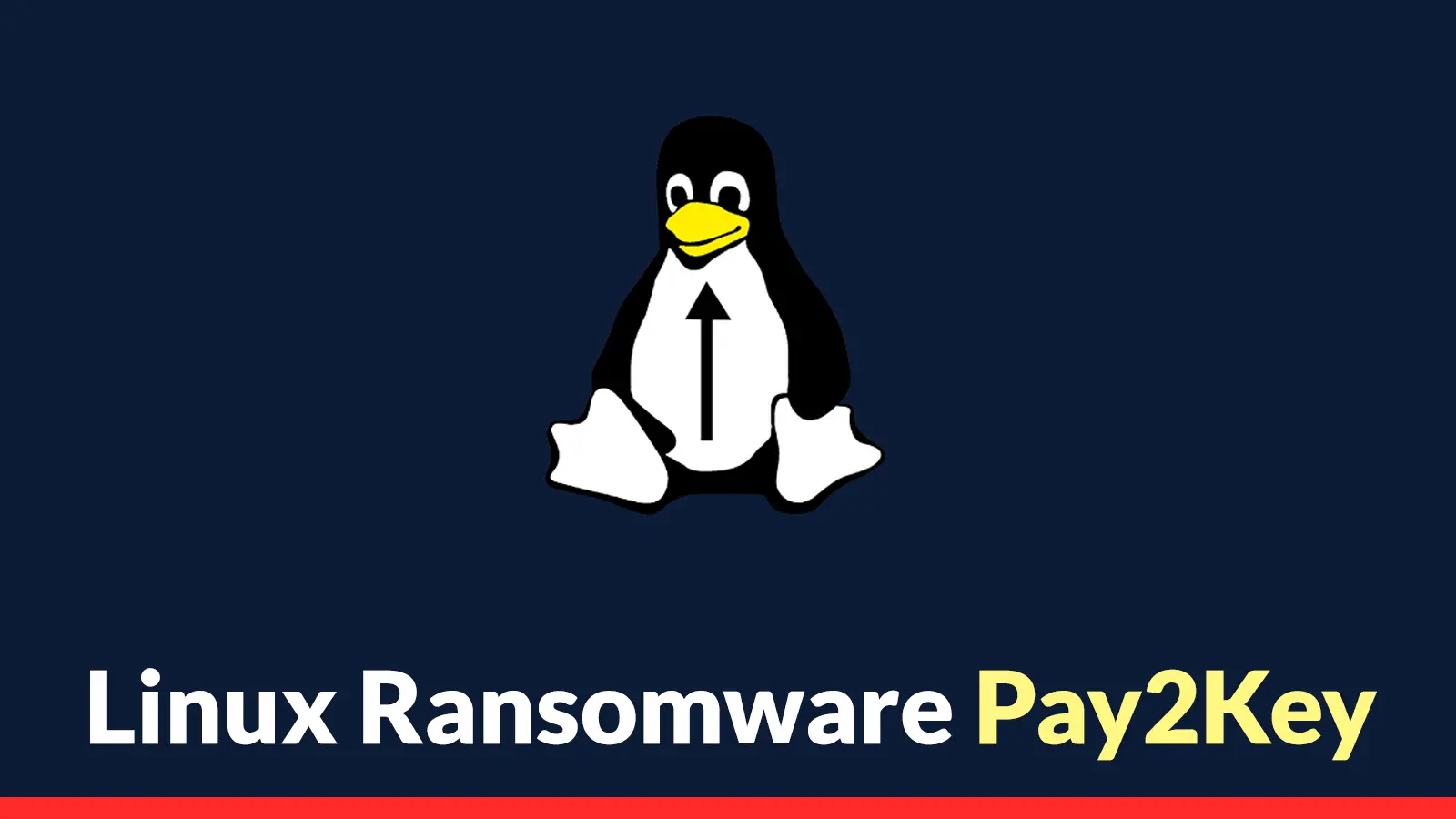 Linux-Ransomware-Pay2Key-Attacking-Organizations-Ervers-Virtualization-Hosts-and-Cloud-Workloads.web_.webp