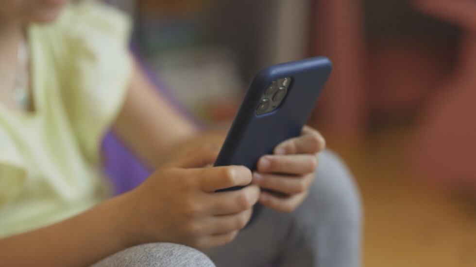 After a Canadian visitor allegedly had sex with a Big Island minor he met on a gaming app,...