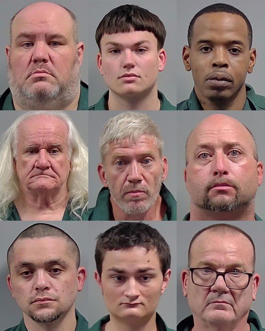 FDLE: 13 Arrested In Online Operation Targeting Child Predators ...